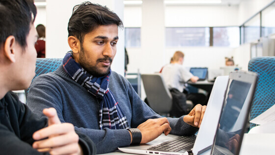 Two people on laptops